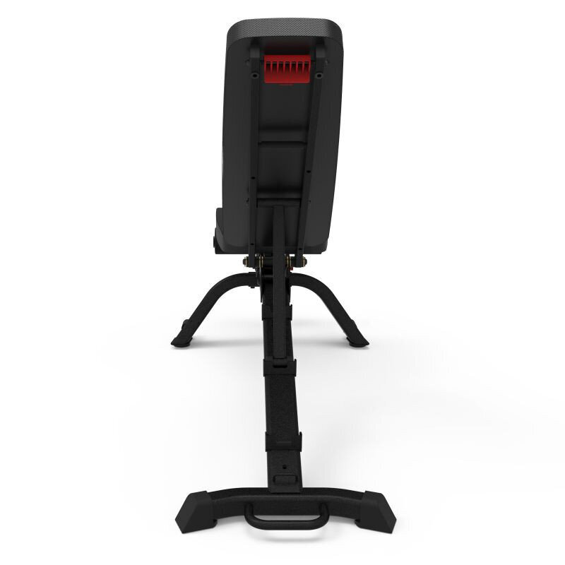 Treniruočių suoliukas Bowflex 3.1S 100917 kaina ir informacija | Treniruočių suoliukai ir stovai | pigu.lt