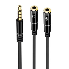 Ewent EC1641, Audio Jack 3,5 mm, 0.3 m kaina ir informacija | Kabeliai ir laidai | pigu.lt