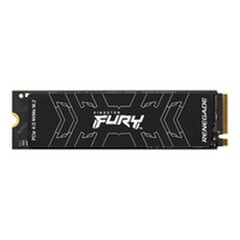 Kingston Fury Renegade 500 GB SSD BFN-BB-S55131502 kaina ir informacija | Vidiniai kietieji diskai (HDD, SSD, Hybrid) | pigu.lt