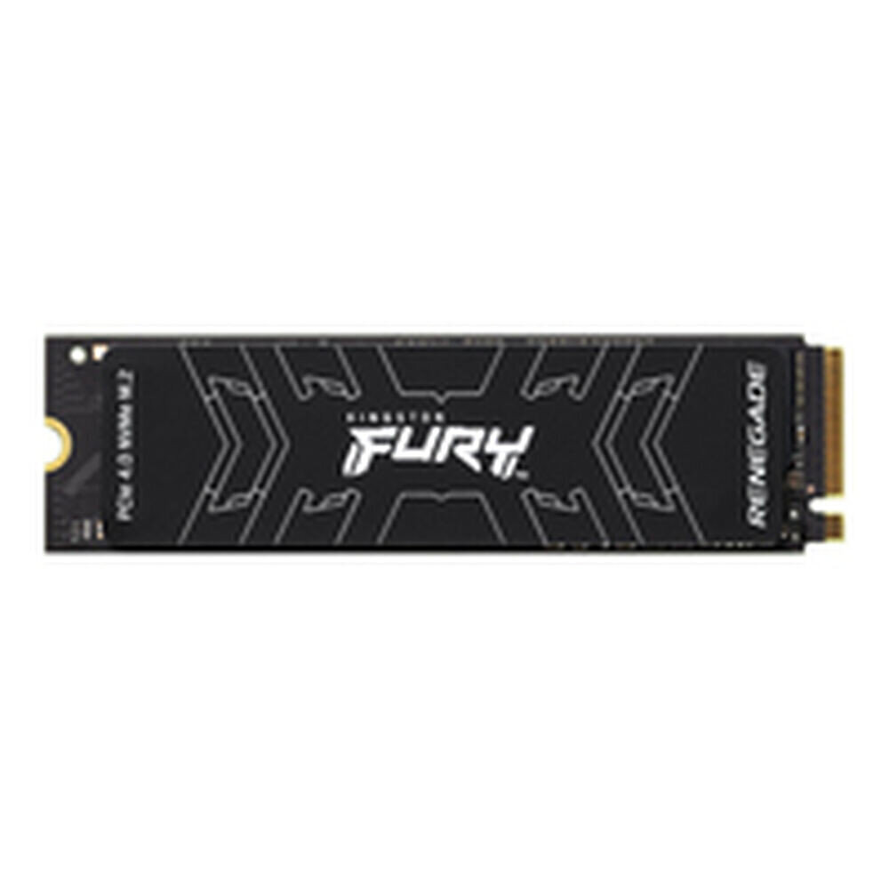 Kingston Fury Renegade 500 GB SSD BFN-BB-S55131502 kaina ir informacija | Išoriniai kietieji diskai (SSD, HDD) | pigu.lt
