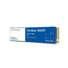 Жесткий диск Western Digital WD Blue SN570 250 GB M.2 цена и информация | Жёсткие диски (SSD, HDD) | pigu.lt