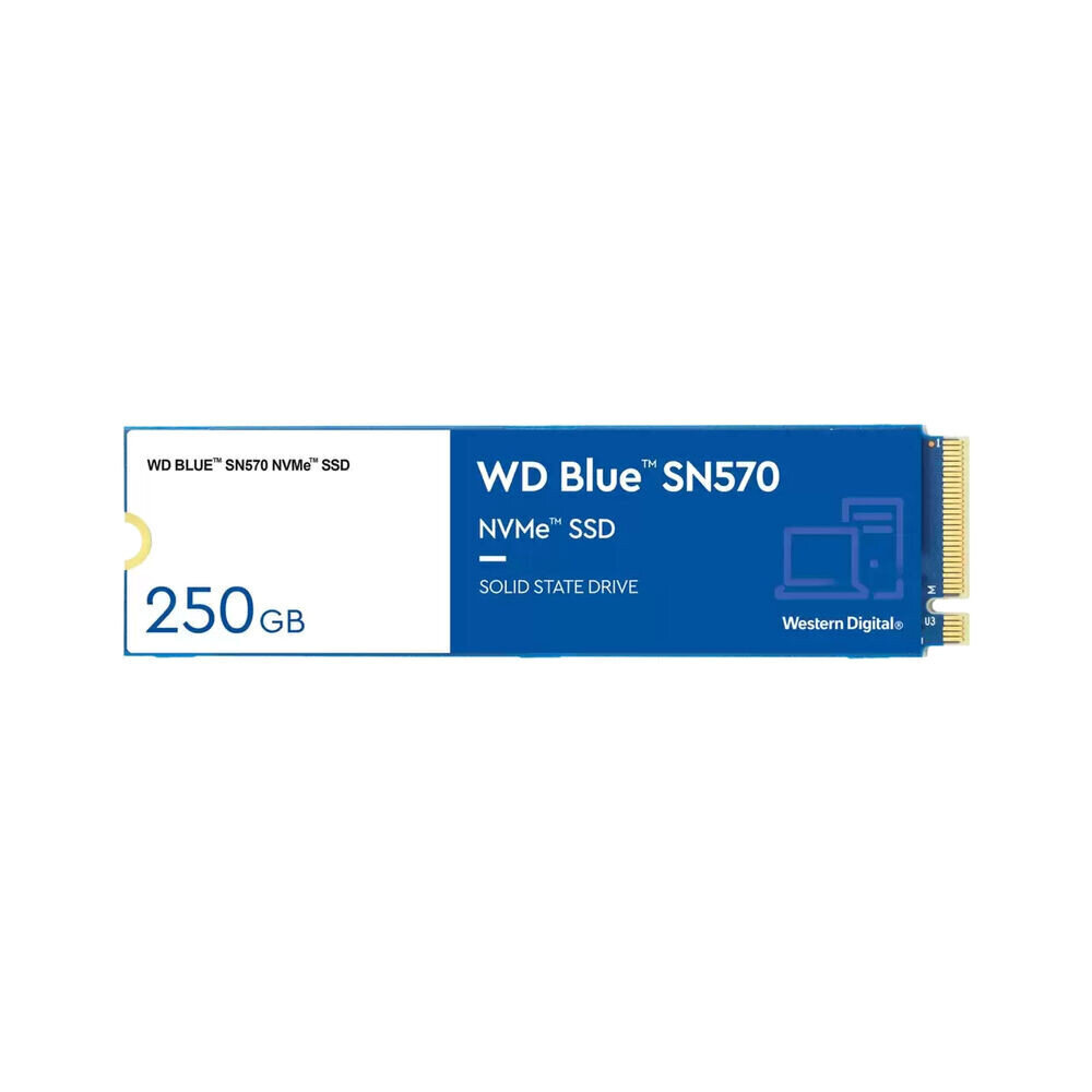 Western Digital Blue 250 GB SSD BFN-BB-S55130441 kaina ir informacija | Išoriniai kietieji diskai (SSD, HDD) | pigu.lt