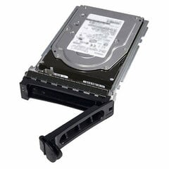 Жесткий диск Dell 400-BJRT 2 Тб цена и информация | Жёсткие диски (SSD, HDD) | pigu.lt