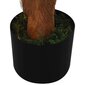 Dirbtinis paprastasis cikas su vazonu, žalias, 160cm kaina ir informacija | Dirbtinės gėlės | pigu.lt