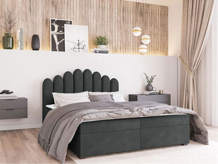Кровать Beretini 160x200см, темно-серая цена и информация | Кровати | pigu.lt