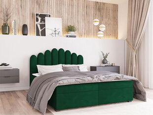 Кровать Beretini 160x200см, зеленая цена и информация | Кровати | pigu.lt
