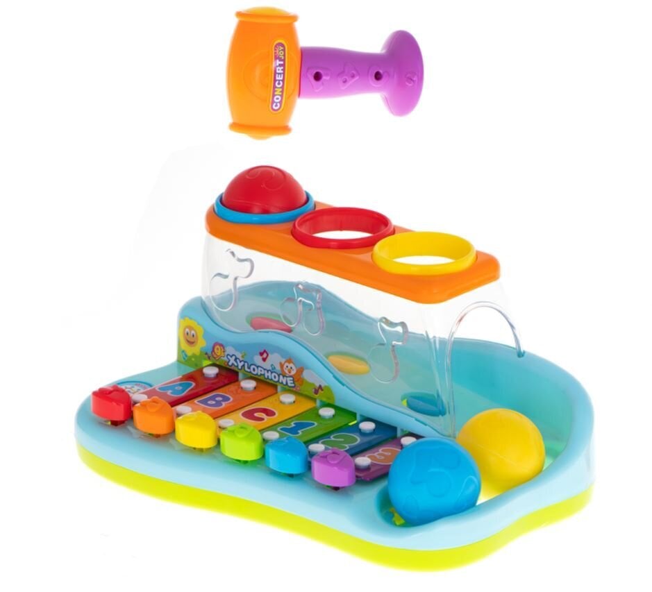 Interaktyvus ksilofonas su kalimo žaidimu Hola kaina ir informacija | Žaislai kūdikiams | pigu.lt