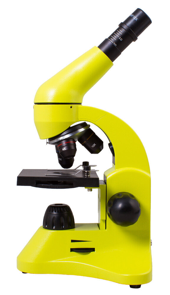 Levenhuk Rainbow 50L цена и информация | Teleskopai ir mikroskopai | pigu.lt