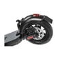 Elektrinis paspirtukas Ducati Pro II PLUS 10", 350W цена и информация | Elektriniai paspirtukai | pigu.lt