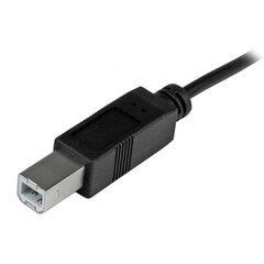 Startech USB2CB2M, USB C /USB B, 2 m цена и информация | Кабели и провода | pigu.lt