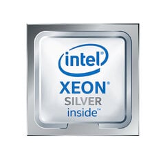 Процессор HPE XEON-S 4210R 3,2 GHZ 13,75 MB LGA 3647 цена и информация | Процессоры (CPU) | pigu.lt