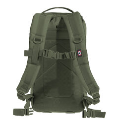 Kuprinė Pentagon Assault Small Backpack Olive kaina ir informacija | Turistinės ir kelioninės kuprinės | pigu.lt