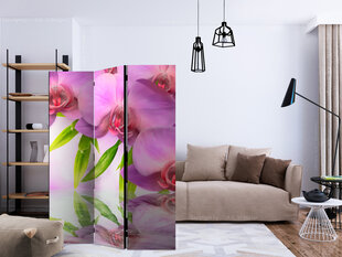 Ширма Orchid Spa цена и информация | Мобильные стенки | pigu.lt