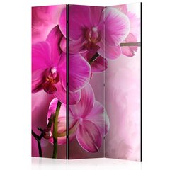 Pertvara Pink Orchid kaina ir informacija | Širmos, kambario pertvaros | pigu.lt
