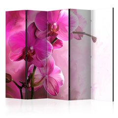 Ширма Pink orchid цена и информация | Мобильные стенки | pigu.lt