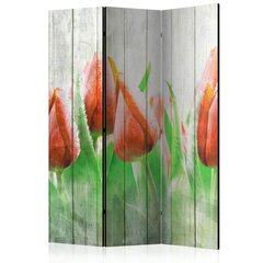 Pertvara Red tulips on wood kaina ir informacija | Širmos, kambario pertvaros | pigu.lt