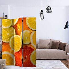 Ширма Citrus fruits цена и информация | Мобильные стенки | pigu.lt