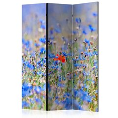 Ширма A sky-colored meadow cornflowers цена и информация | Мобильные стенки | pigu.lt