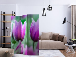 Ширма Purple spring tulips цена и информация | Мобильные стенки | pigu.lt