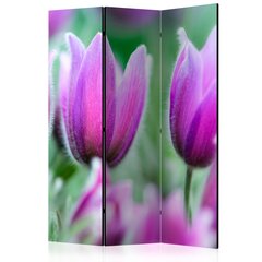 Ширма Purple spring tulips цена и информация | Мобильные стенки | pigu.lt