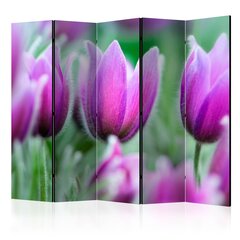 Ширма Purple spring tulips цена и информация | Мобильные стенки | pigu.lt