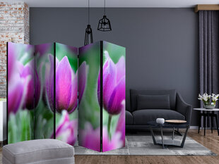 Ширма Purple spring tulips цена и информация | Мобильные стенки | pigu.lt