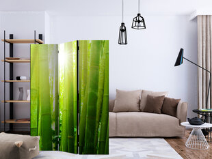 Pertvara - Sun and bamboo [Kambario pertvaros] kaina ir informacija | Širmos, kambario pertvaros | pigu.lt