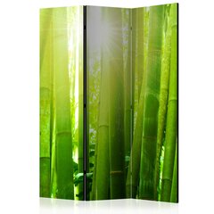 Pertvara - Sun and bamboo [Kambario pertvaros] kaina ir informacija | Širmos, kambario pertvaros | pigu.lt