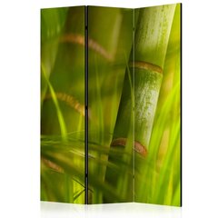 Ширма bamboo nature zen цена и информация | Мобильные стенки | pigu.lt