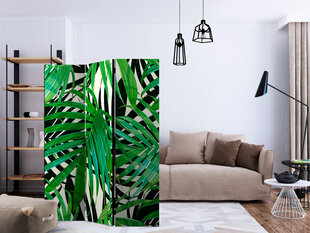 Pertvara - Tropical Leaves [Kambario pertvaros] kaina ir informacija | Širmos, kambario pertvaros | pigu.lt