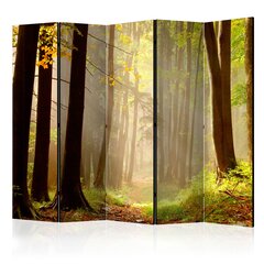 Ширма Mysterious forest path цена и информация | Мобильные стенки | pigu.lt