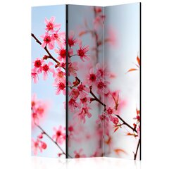 Pertvara - Symbol of Japan sakura flowers [Kambario pertvaros] kaina ir informacija | Širmos, kambario pertvaros | pigu.lt