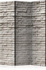 Ширма Brick Wall: Minimalism цена и информация | Мобильные стенки | pigu.lt