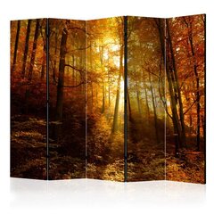 Pertvara Autumn Illumination kaina ir informacija | Širmos, kambario pertvaros | pigu.lt