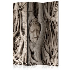 Ширма Buddha's Tree цена и информация | Мобильные стенки | pigu.lt