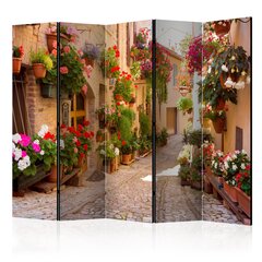 Ширма - The Alley in Spello (Italy) [Комнатные перегородки] цена и информация | Мобильные стенки | pigu.lt