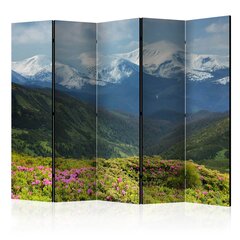 Ширма Spring mountain landscape цена и информация | Мобильные стенки | pigu.lt