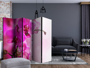 Ширма Pink orchid цена и информация | Мобильные стенки | pigu.lt