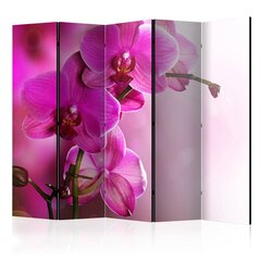 Ширма Pink orchid цена и информация | Мобильные стенки | pigu.lt