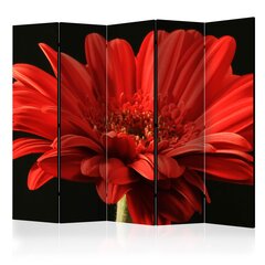 Pertvara Red gerbera flower kaina ir informacija | Širmos, kambario pertvaros | pigu.lt