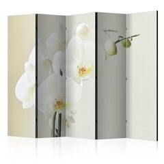 Pertvara - White orchid [Kambario pertvaros] kaina ir informacija | Širmos, kambario pertvaros | pigu.lt