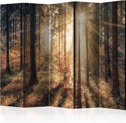 Ширма Autumnal Forest цена и информация | Мобильные стенки | pigu.lt