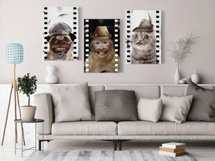 Картина Funny Pets цена и информация | Репродукции, картины | pigu.lt