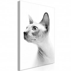 Paveikslas Hairless Cat kaina ir informacija | Reprodukcijos, paveikslai | pigu.lt
