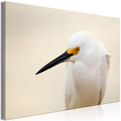 Paveikslas Snowy Egret kaina ir informacija | Reprodukcijos, paveikslai | pigu.lt