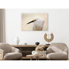 Paveikslas Snowy Egret kaina ir informacija | Reprodukcijos, paveikslai | pigu.lt