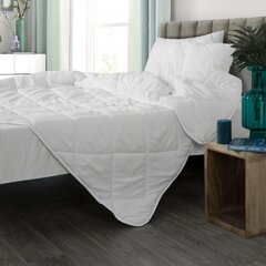 Одеяло, 220х200 см цена и информация | Одеяла | pigu.lt