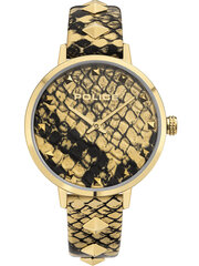 Moteriškas laikrodis Police Socotra PEWLA2109702 цена и информация | Женские часы | pigu.lt
