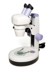Микроскоп Levenhuk 5ST цена и информация | Телескопы и микроскопы | pigu.lt