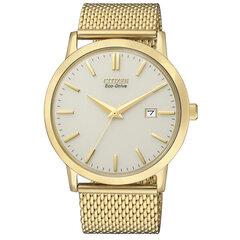 Vyriškas laikrodis Citizen BM7192-51A kaina ir informacija | Vyriški laikrodžiai | pigu.lt